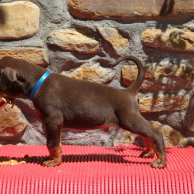 18589083 10213394274715197 4483135070084940652 O