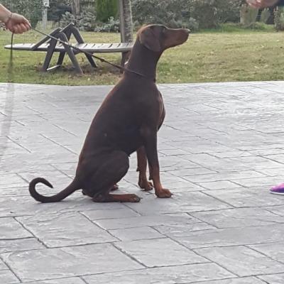 Adbd8114 6f21 4f0d 9175 Adbf08b2bcdf