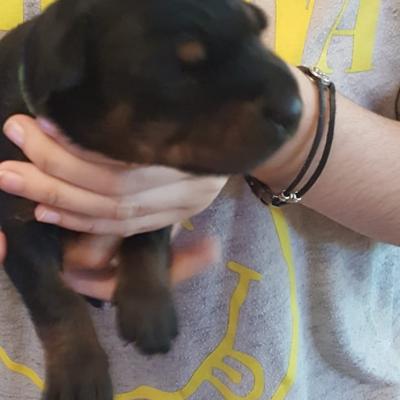 01513011 C10a 4f7e Ae09 37394b2545b4