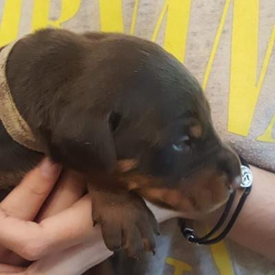 E3c1d9fe 1bfe 4d35 8bf4 90c32badda72