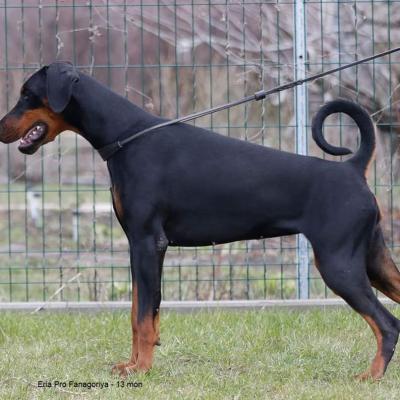 Fb Img 1588614384156