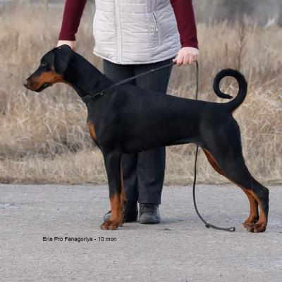 Received 639007800196920