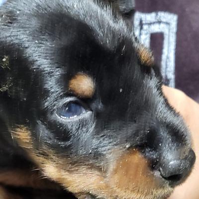 Imagen De Whatsapp 2023 07 01 A Las 23.04.39