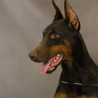 Imagen De Whatsapp 2025 09 09 A Las 17.14.14 B376a0c8